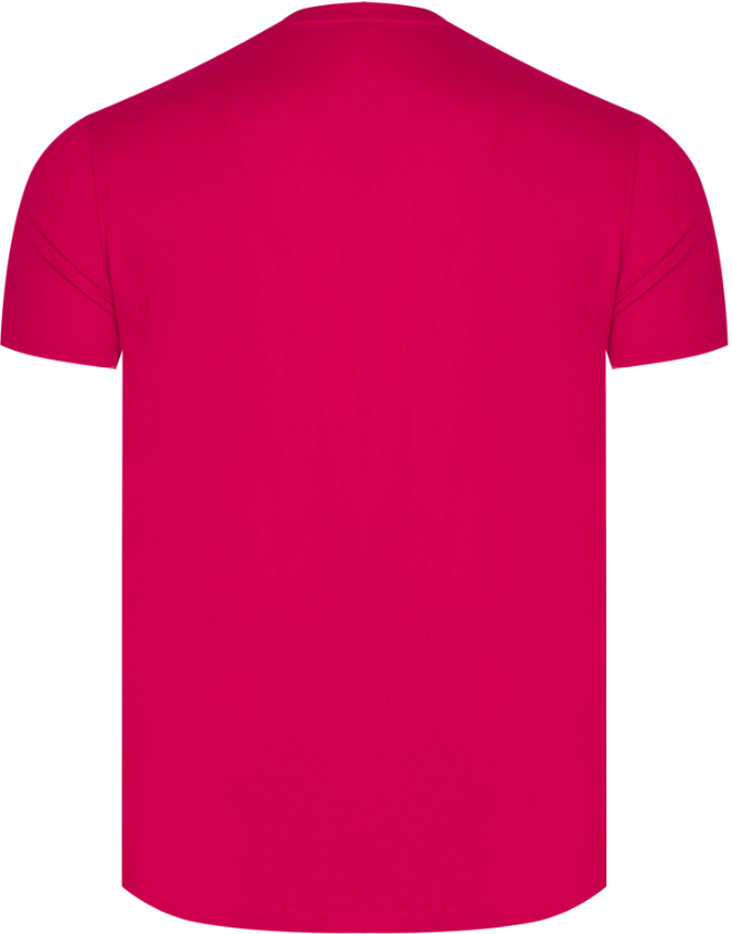 U.S. POLO ASSN. - MEN'S T-SHIRT MICK