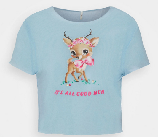 Neon & Nylon Top Light Blue - Women