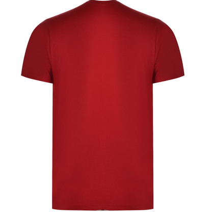 U.S. POLO ASSN. - MEN'S T-SHIRT CICK