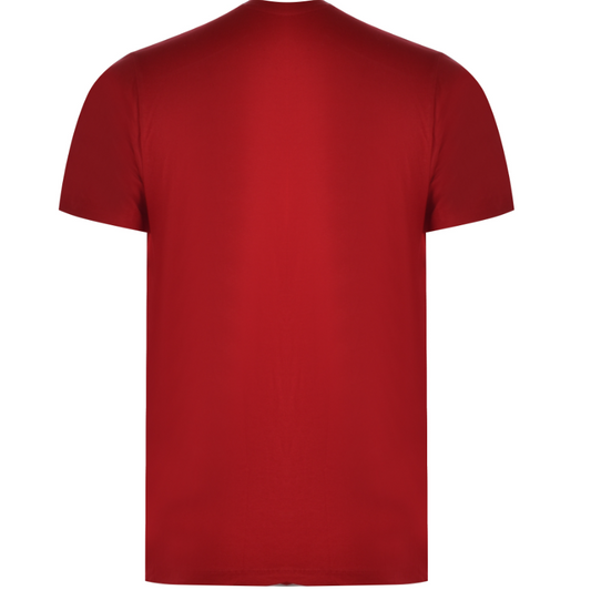 U.S. POLO ASSN. - MEN'S T-SHIRT CICK